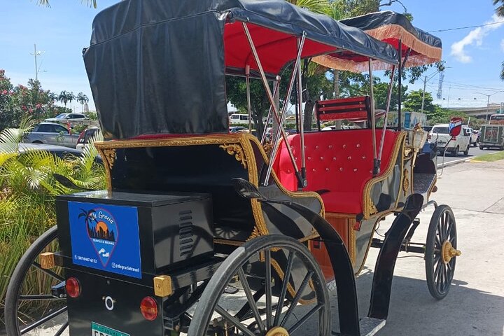 Paseo en Carruaje Casco