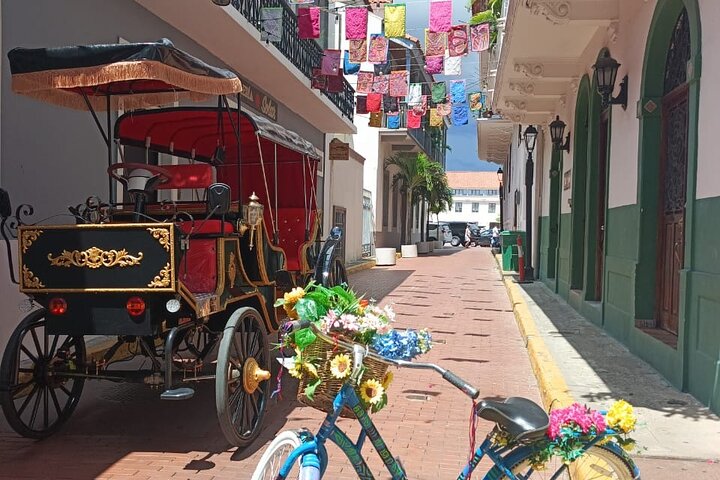 Paseo en Carruaje Casco