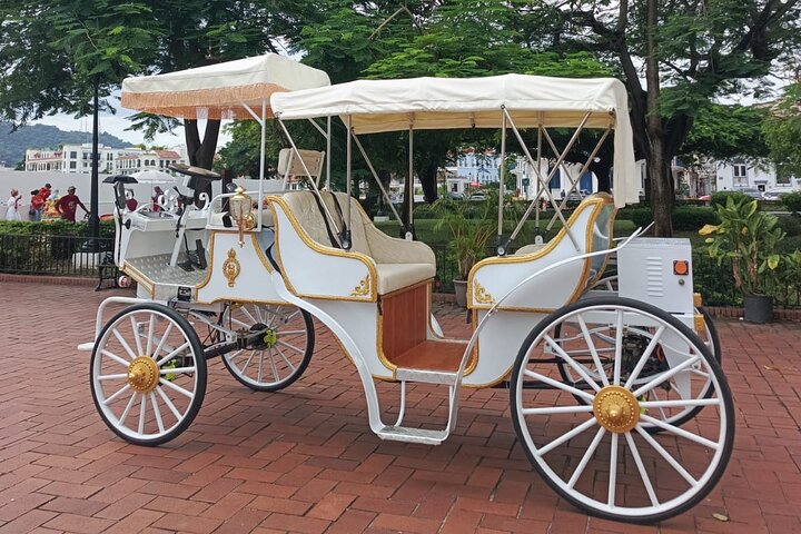 Paseo en Carruaje Casco