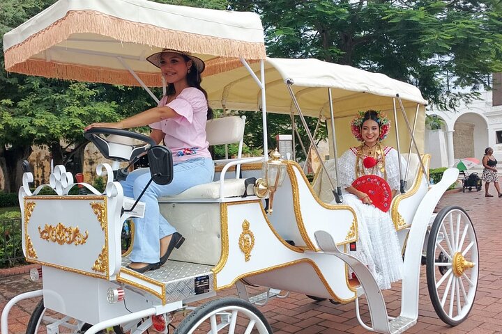 Paseo en Carruaje Casco