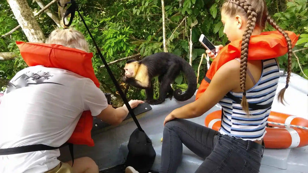 Monkey Island, Panama Canal & Sloth Sanctuary Tour
